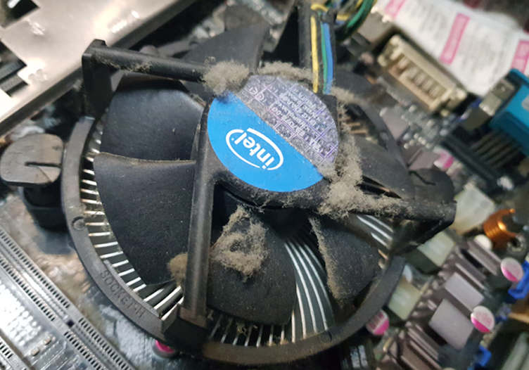 컴퓨터-먼지